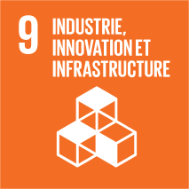 objectif de développement industrie innovation et infrastructure